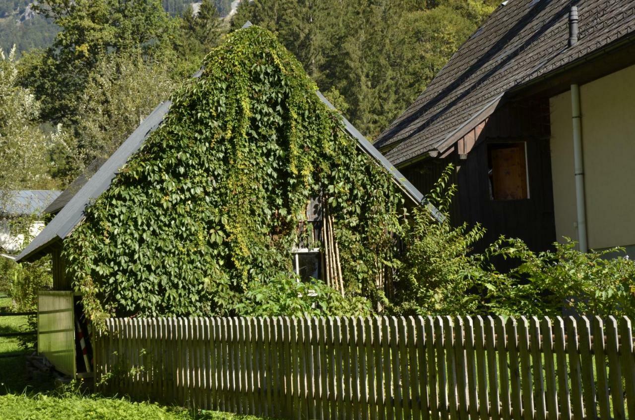 Haus Rosina Villa Admont Luaran gambar