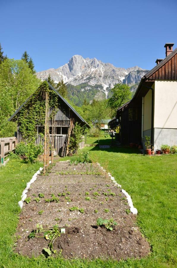 Haus Rosina Villa Admont Luaran gambar